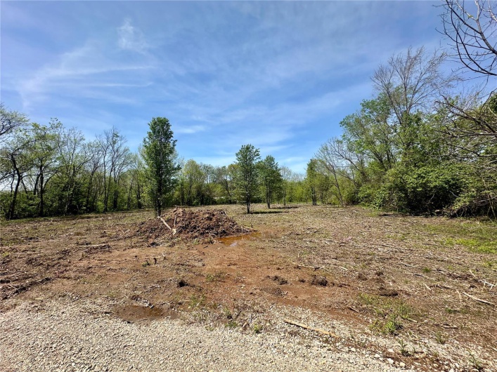 2 Potosi Street, Farmington, Missouri 63640, ,Land,For Sale,Potosi,MAR25025261