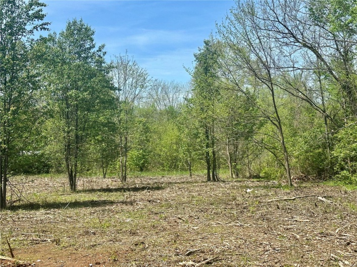 2 Potosi Street, Farmington, Missouri 63640, ,Land,For Sale,Potosi,MAR25025261