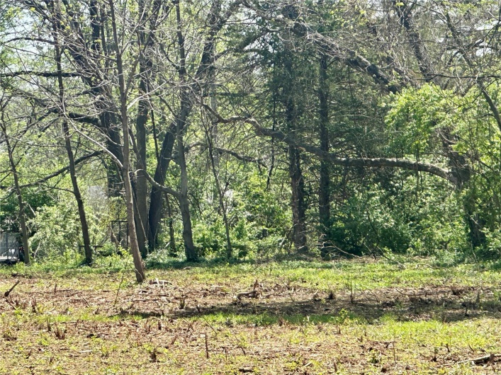 2 Potosi Street, Farmington, Missouri 63640, ,Land,For Sale,Potosi,MAR25025261