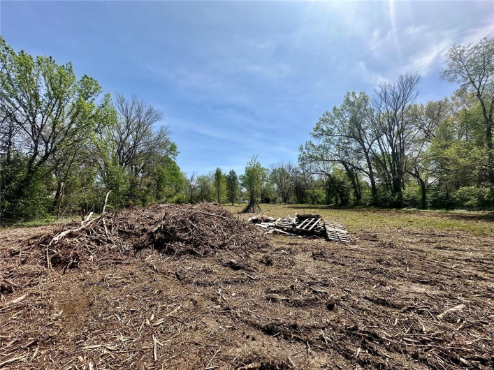 2 Potosi Street, Farmington, Missouri 63640, ,Land,For Sale,Potosi,MAR25025261