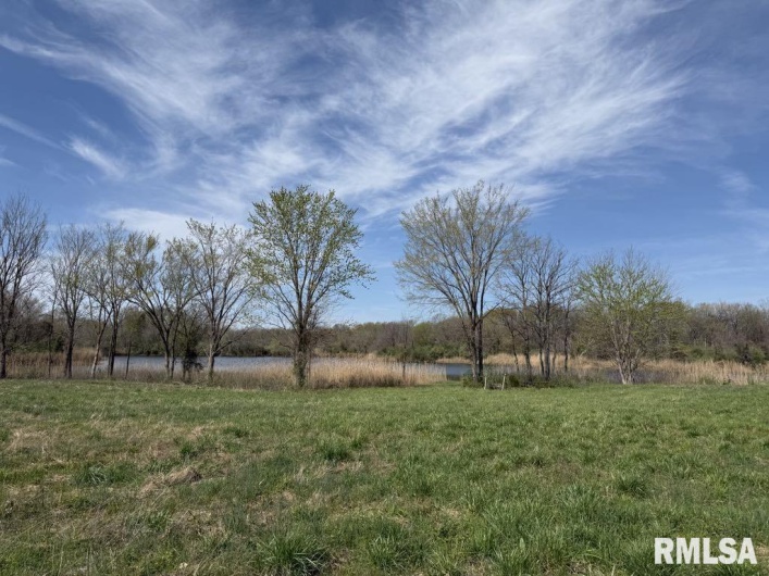 000 Highway 51 Highway, DeSoto, Illinois 62924, 0 , 0 ,0,Land,For Sale,Highway 51,0,RMAQC4262518