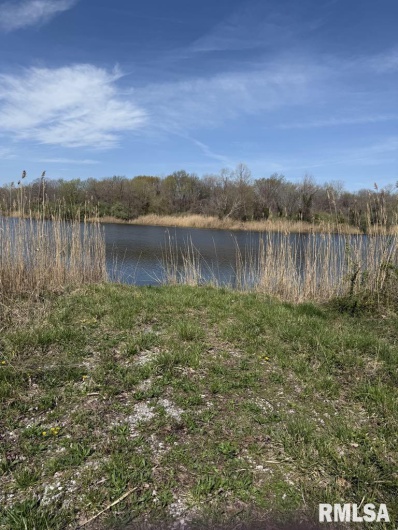 000 Highway 51 Highway, DeSoto, Illinois 62924, 0 , 0 ,0,Land,For Sale,Highway 51,0,RMAQC4262518
