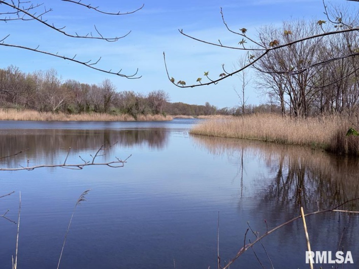 000 Highway 51 Highway, DeSoto, Illinois 62924, 0 , 0 ,0,Land,For Sale,Highway 51,0,RMAQC4262518