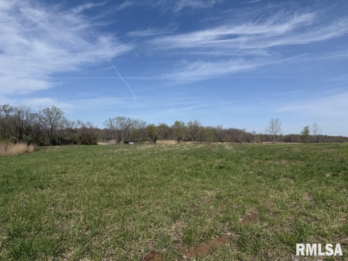 000 Highway 51 Highway, DeSoto, Illinois 62924, 0 , 0 ,0,Land,For Sale,Highway 51,0,RMAQC4262518