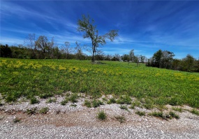 1009 Legacy Lane, Perryville, Missouri 63775, ,Land,For Sale,Legacy,MAR25025326