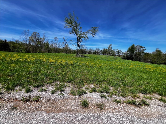 1009 Legacy Lane, Perryville, Missouri 63775, ,Land,For Sale,Legacy,MAR25025326