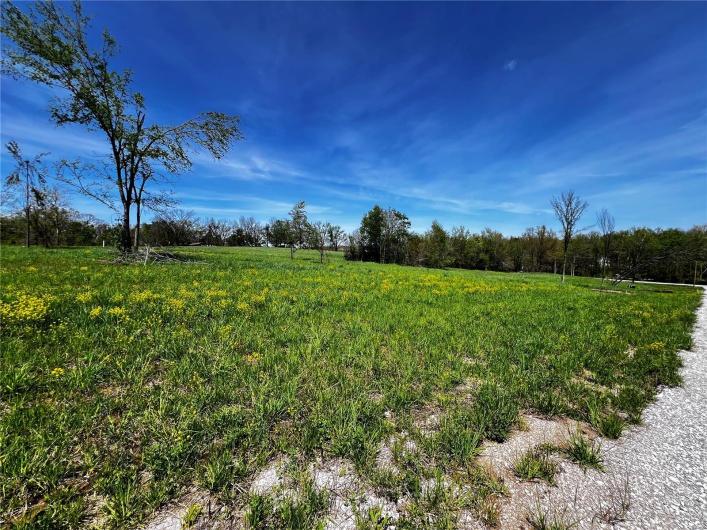 1009 Legacy Lane, Perryville, Missouri 63775, ,Land,For Sale,Legacy,MAR25025326