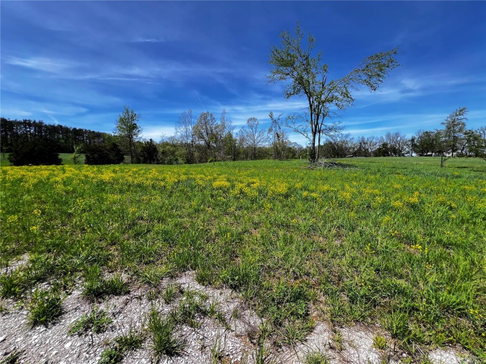 1009 Legacy Lane, Perryville, Missouri 63775, ,Land,For Sale,Legacy,MAR25025326