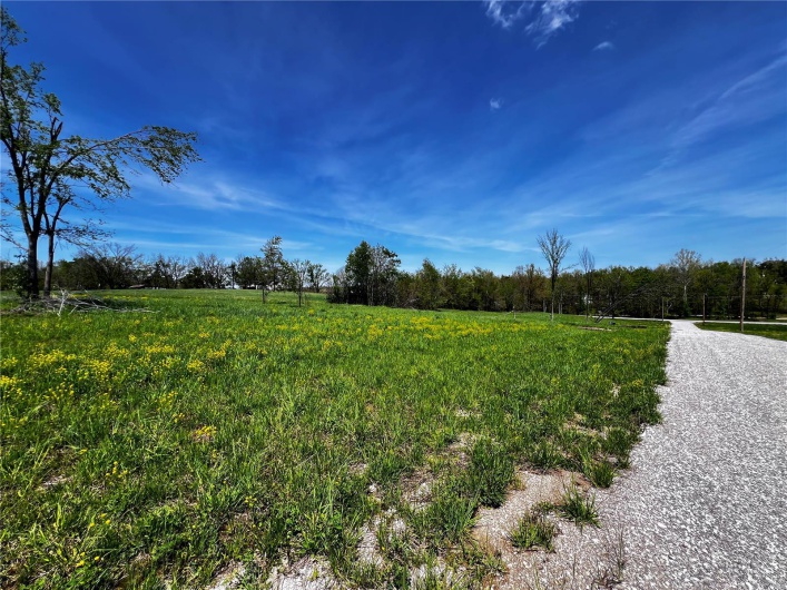 1009 Legacy Lane, Perryville, Missouri 63775, ,Land,For Sale,Legacy,MAR25025326