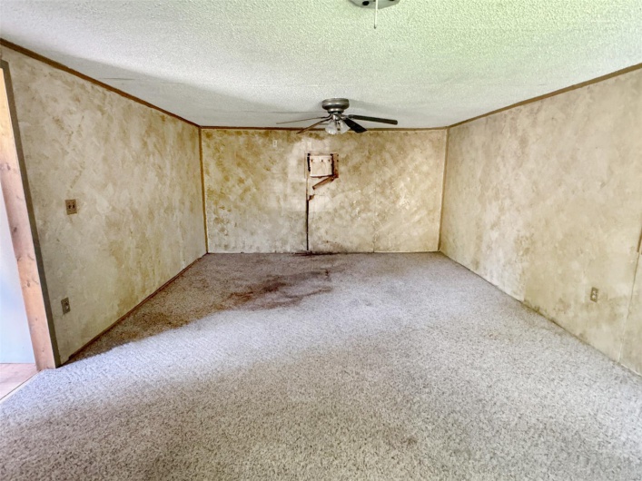 Carpeted empty room with ceiling fan, crown molding, and a textured ceiling