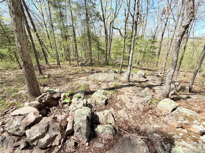 View of nature