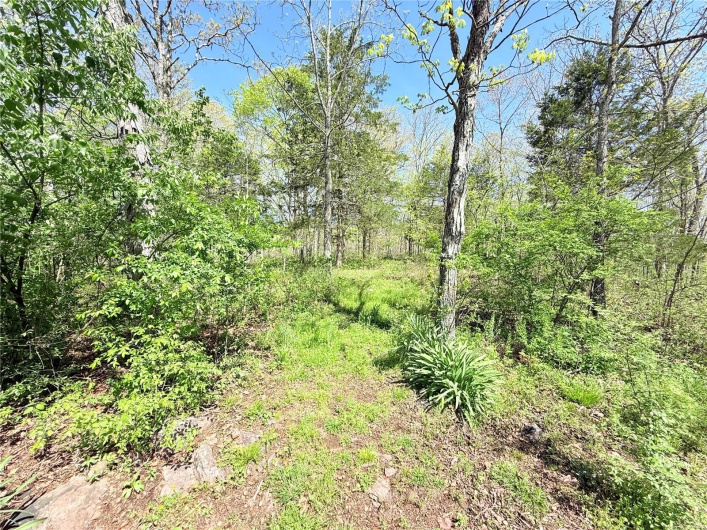 View of nature featuring a view of trees