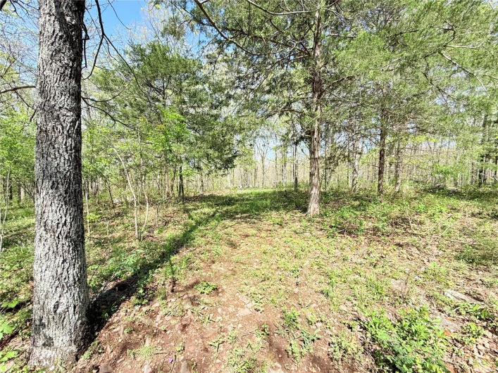 View of nature featuring a forest view