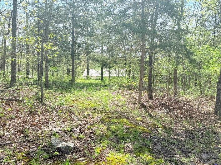 View of nature featuring a forest view