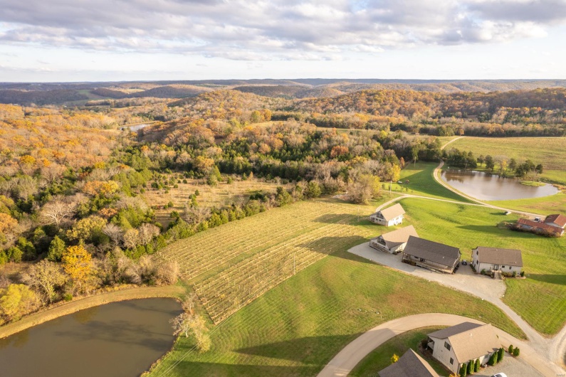 Drone / aerial view with a rural view and a water view