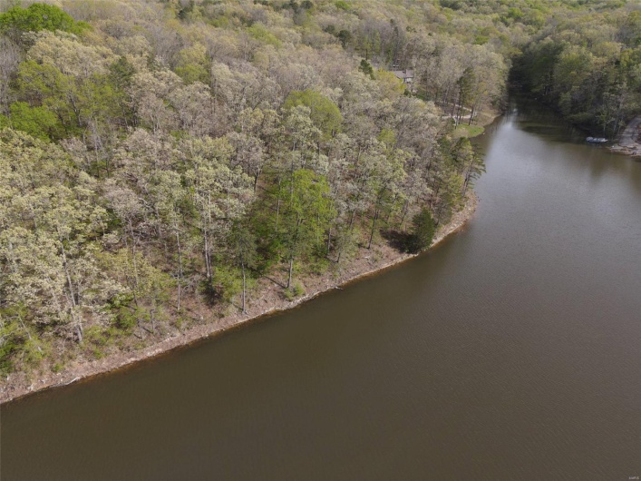 Bird's eye view featuring a forest view and a water view