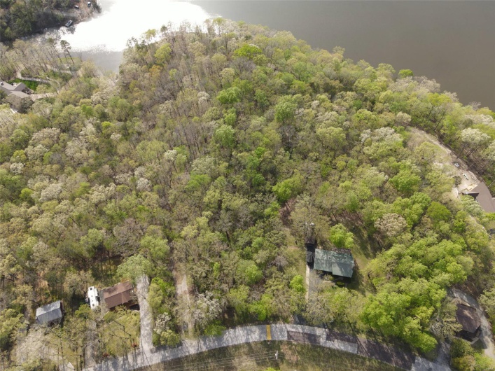 Aerial view with a forest view