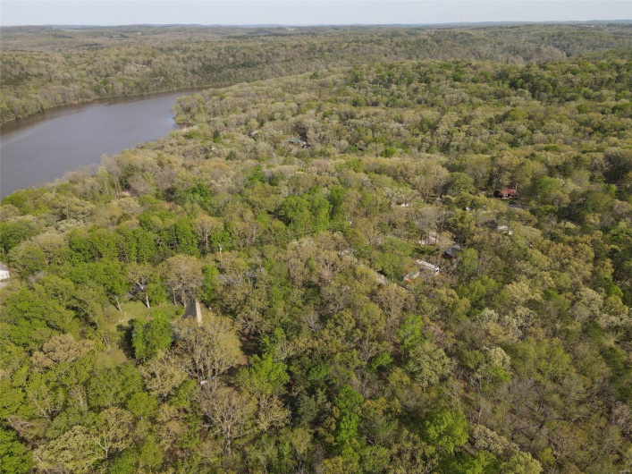 Aerial view with a view of trees and a water view