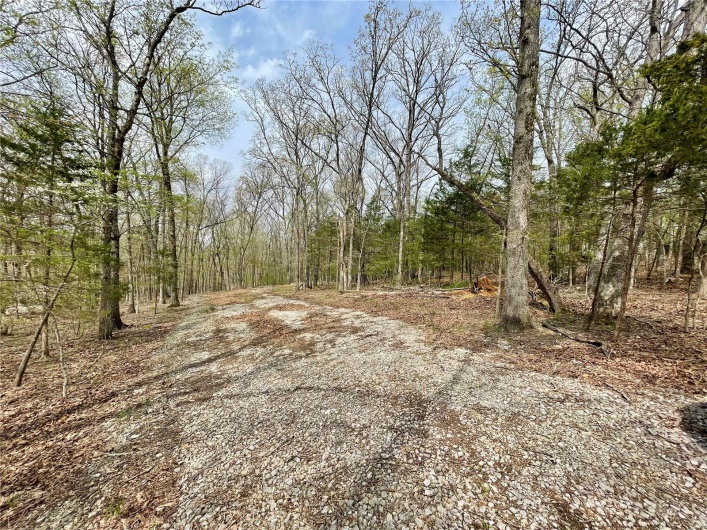 View of road with a wooded view
