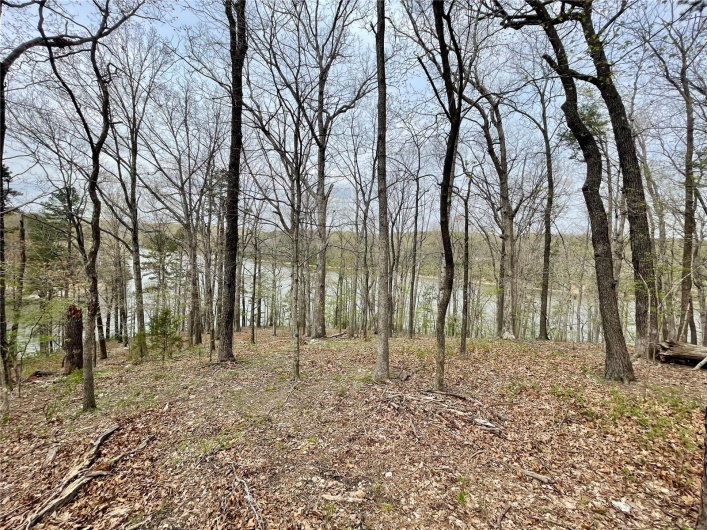 View of landscape featuring a view of trees
