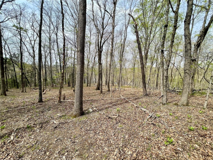 View of landscape featuring a view of trees