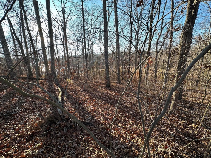 13 Wagon Creek Loop, Creal Springs, Illinois 62922, ,Land,For Sale,Wagon Creek Loop,MAR25017642