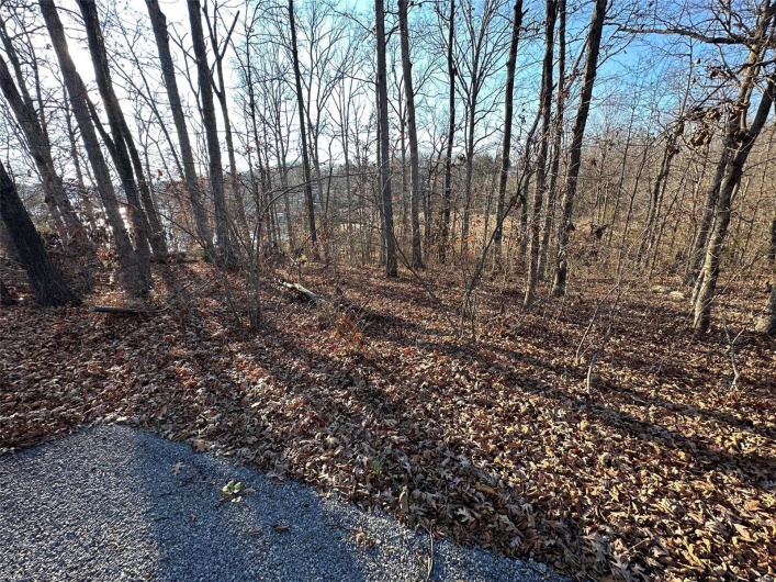 13 Wagon Creek Loop, Creal Springs, Illinois 62922, ,Land,For Sale,Wagon Creek Loop,MAR25017642