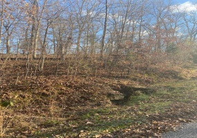 18 Wagon Creek Loop, Creal Springs, Illinois 62922, ,Land,For Sale,Wagon Creek Loop,MAR25017694