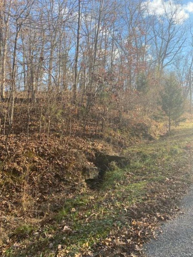 18 Wagon Creek Loop, Creal Springs, Illinois 62922, ,Land,For Sale,Wagon Creek Loop,MAR25017694