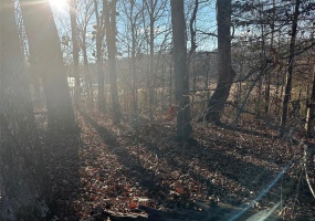14 Wagon Creek Loop, Creal Springs, Illinois 62922, ,Land,For Sale,Wagon Creek Loop,MAR25017639