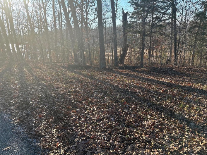 14 Wagon Creek Loop, Creal Springs, Illinois 62922, ,Land,For Sale,Wagon Creek Loop,MAR25017639