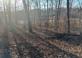12 Wagon Creek Loop, Creal Springs, Illinois 62922, ,Land,For Sale,Wagon Creek Loop,MAR25017641