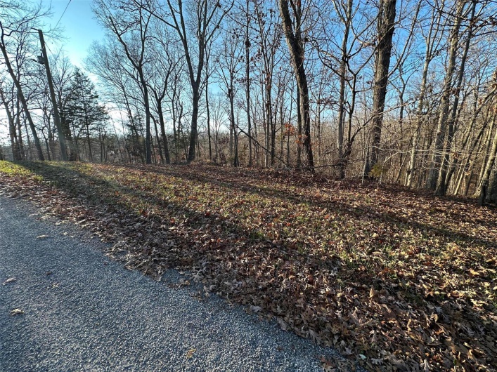 15 Wagon Creek Loop, Creal Springs, Illinois 62922, ,Land,For Sale,Wagon Creek Loop,MAR25017638