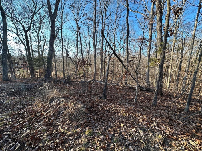 15 Wagon Creek Loop, Creal Springs, Illinois 62922, ,Land,For Sale,Wagon Creek Loop,MAR25017638