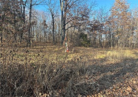 35 Wagon Creek Loop, Creal Springs, Illinois 62922, ,Land,For Sale,Wagon Creek Loop,MAR25016621