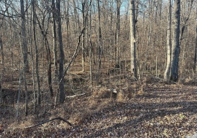 16 Wagon Creek Loop, Creal Springs, Illinois 62922, ,Land,For Sale,Wagon Creek Loop,MAR25017635