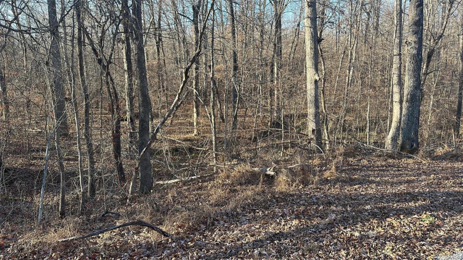 16 Wagon Creek Loop, Creal Springs, Illinois 62922, ,Land,For Sale,Wagon Creek Loop,MAR25017635