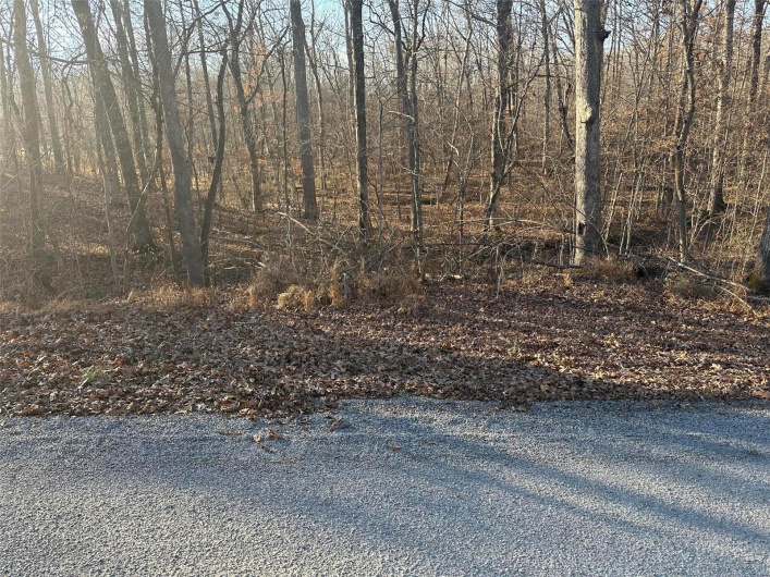 16 Wagon Creek Loop, Creal Springs, Illinois 62922, ,Land,For Sale,Wagon Creek Loop,MAR25017635