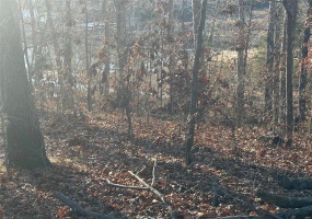 17 Wagon Creek Loop, Creal Springs, Illinois 62922, ,Land,For Sale,Wagon Creek Loop,MAR25017633