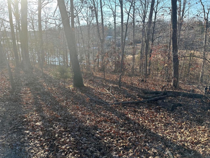 17 Wagon Creek Loop, Creal Springs, Illinois 62922, ,Land,For Sale,Wagon Creek Loop,MAR25017633