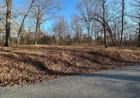 22 Wagon Creek Loop, Creal Springs, Illinois 62922, ,Land,For Sale,Wagon Creek Loop,MAR25017620