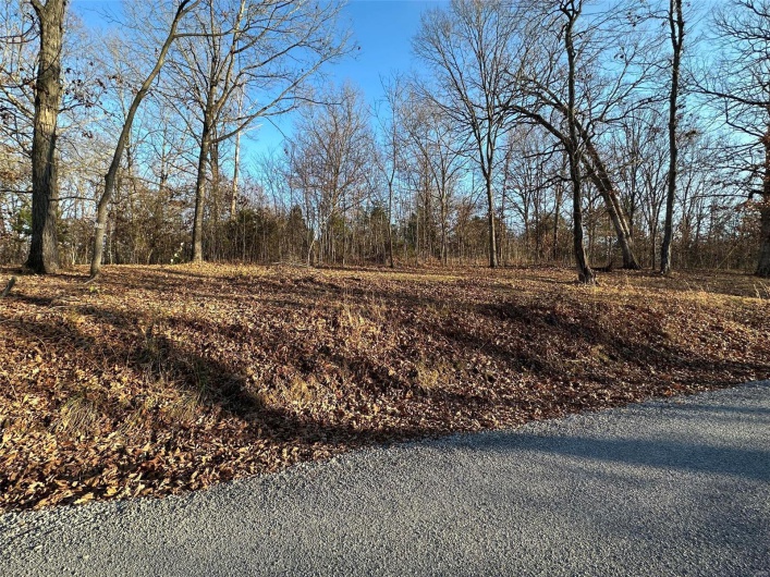 22 Wagon Creek Loop, Creal Springs, Illinois 62922, ,Land,For Sale,Wagon Creek Loop,MAR25017620