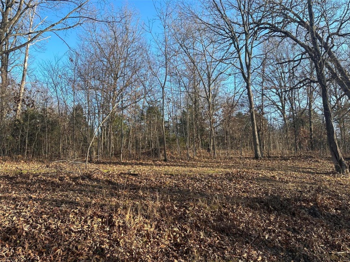 22 Wagon Creek Loop, Creal Springs, Illinois 62922, ,Land,For Sale,Wagon Creek Loop,MAR25017620