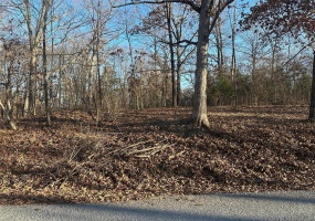 21 Wagon Creek Loop, Creal Springs, Illinois 62922, ,Land,For Sale,Wagon Creek Loop,MAR25017611