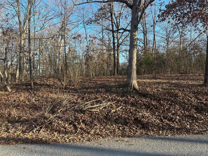 21 Wagon Creek Loop, Creal Springs, Illinois 62922, ,Land,For Sale,Wagon Creek Loop,MAR25017611