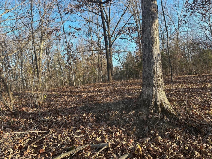 21 Wagon Creek Loop, Creal Springs, Illinois 62922, ,Land,For Sale,Wagon Creek Loop,MAR25017611