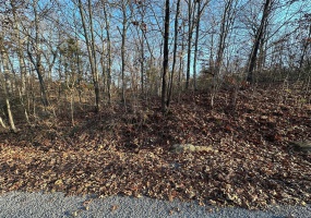 20 Wagon Creek Loop, Creal Springs, Illinois 62922, ,Land,For Sale,Wagon Creek Loop,MAR25017617