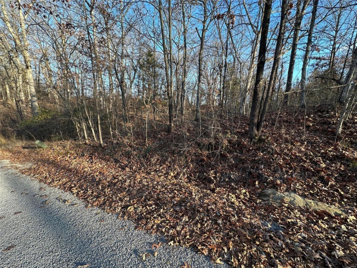 20 Wagon Creek Loop, Creal Springs, Illinois 62922, ,Land,For Sale,Wagon Creek Loop,MAR25017617