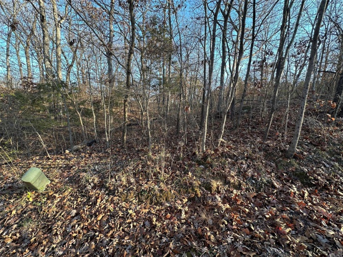 20 Wagon Creek Loop, Creal Springs, Illinois 62922, ,Land,For Sale,Wagon Creek Loop,MAR25017617