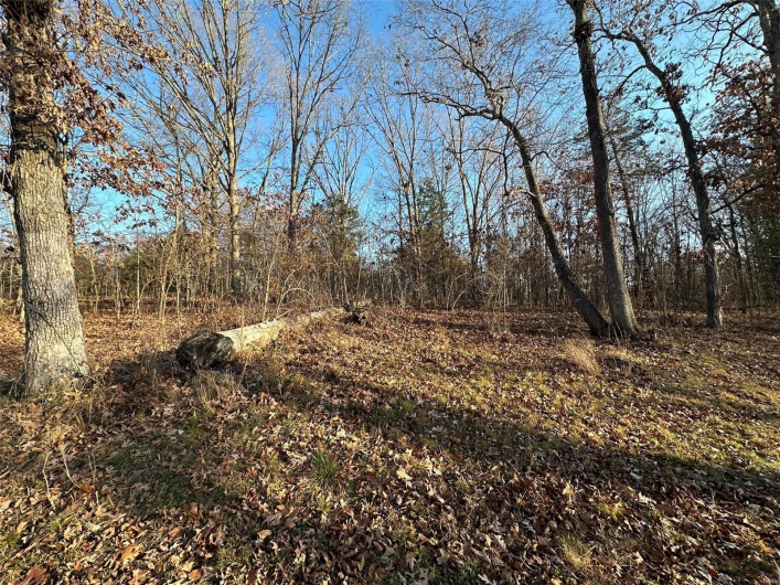 23 Wagon Creek Loop, Creal Springs, Illinois 62922, ,Land,For Sale,Wagon Creek Loop,MAR25017610